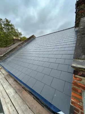 Roof Installation services bronx