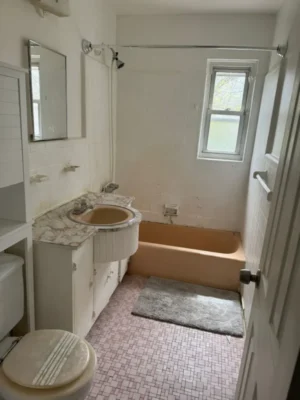 Skylight Services in Bronx